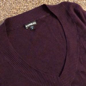 EUC dark purple Express v neck sweater